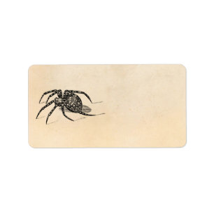 Etiqueta Plantilla de las arañas del ilustracion de la