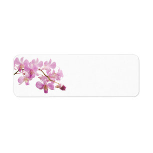 Etiqueta Plantilla de las orquídeas de la flor de la