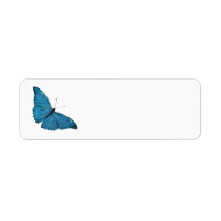 Plantilla personalizada de mariposa morfa azul vin