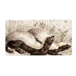 Etiqueta Plantilla retro vintage de miel de abeja batida de