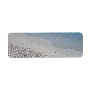Etiqueta Playa y cáscaras del océano