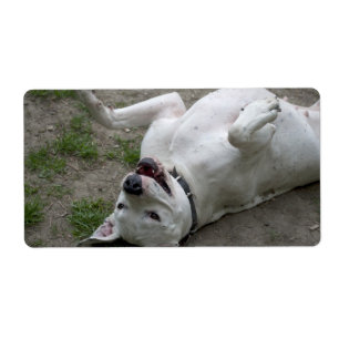 Etiqueta Playing Dogo Argentino