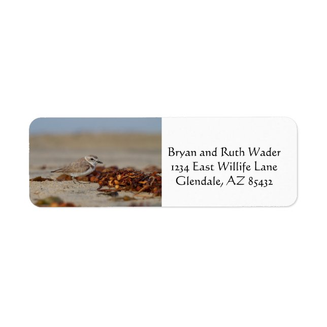 Etiqueta Plover y Seaweed (Frente)