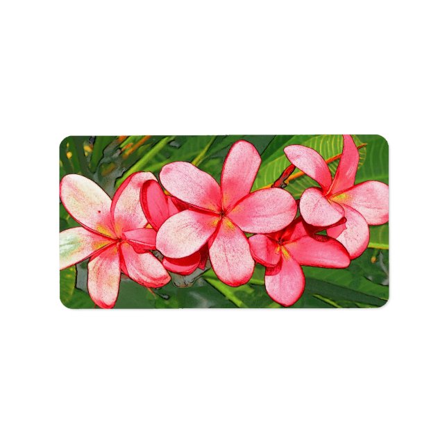 Etiqueta plumeria (Frente)
