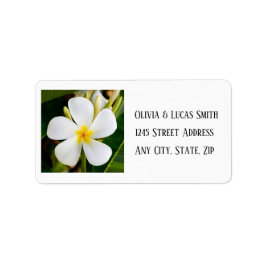 Etiqueta Plumeria blanca tropical - Nuevos comienzos - Boda