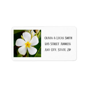 Etiqueta Plumeria blanca tropical - Nuevos comienzos - Boda