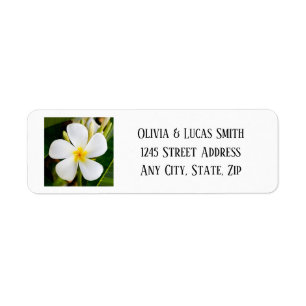 Etiqueta Plumeria blanca tropical - Nuevos comienzos - Boda