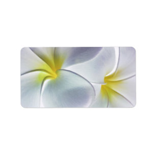 Etiqueta Plumeria Frangipani Hawaii Flor en blanco personal
