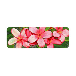 Etiqueta Plumerias
