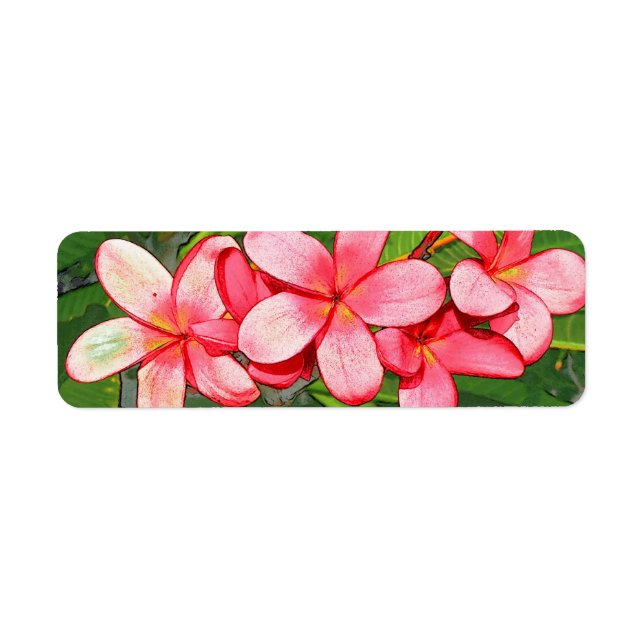 Etiqueta Plumerias (Frente)