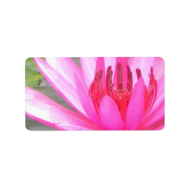 Etiqueta Pond Lotus Tranquilidad Namaste Blank Dirección (Frente)
