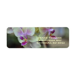 Etiqueta poner crema y rosada de la orquídea