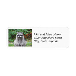 Etiqueta Posando Raccoon Wildlife Photo Return Address