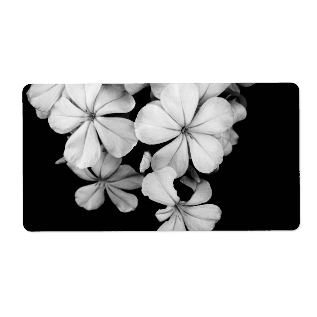 Etiqueta postal de b&w (Frente)