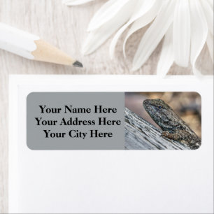 Etiqueta Prairie Lizard