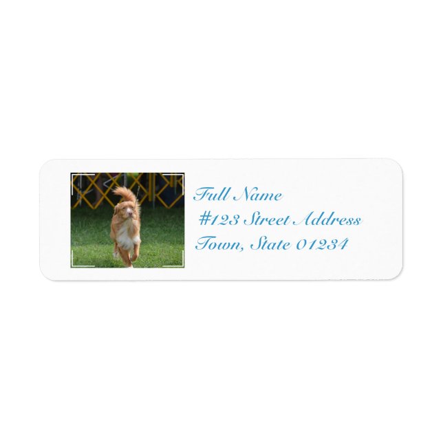 Etiqueta Praning Nova Scotia Retriever (Frente)