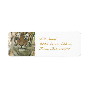 Etiqueta Producto personalizar