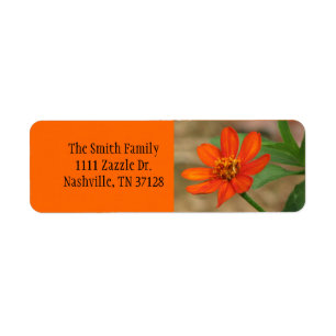 Etiqueta Profusión anaranjada del Zinnia
