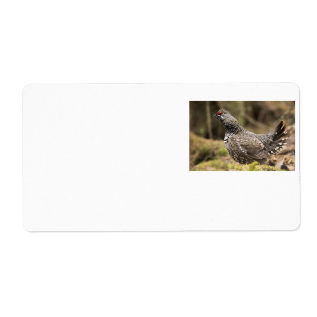 Etiqueta Proud Grouse (Frente)