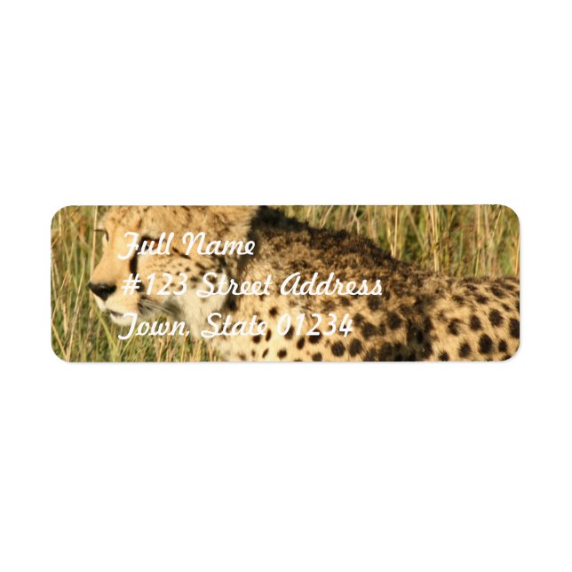 Etiqueta Prowling Cheetah Mailing Label (Frente)