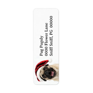 Etiqueta Pug Feliz con Sombrero Rojo Brillante de Santa Nav