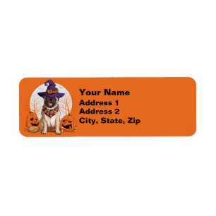 Etiqueta Pug Witch Halloween