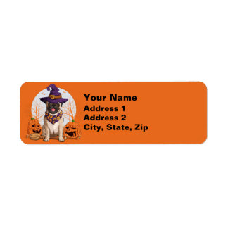 Etiqueta Pug Witch Halloween