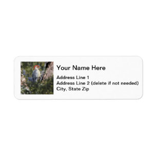 Etiqueta pulsación de corriente Rojo-hinchada