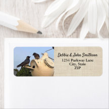 Púrpura Martín Aves Naturaleza Dirección de retorn