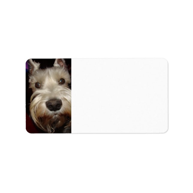 Etiqueta ¿Qué estás mirando? (Frente)