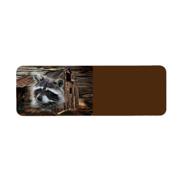 Etiqueta Raccoon En El Antiguo Barn (Frente)