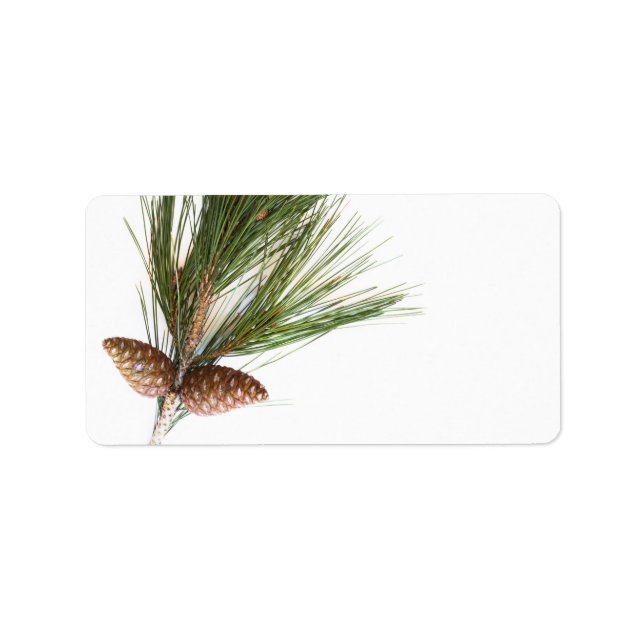 Etiqueta Rama y conos de pino (Frente)