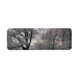 Etiqueta Ramas nevadas