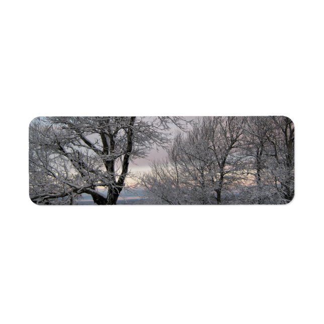 Etiqueta Ramas nevadas (Frente)