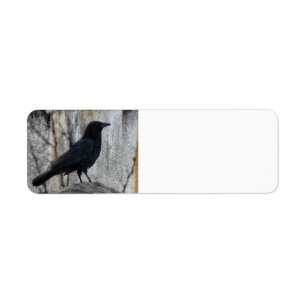 Etiqueta Raven Waiting