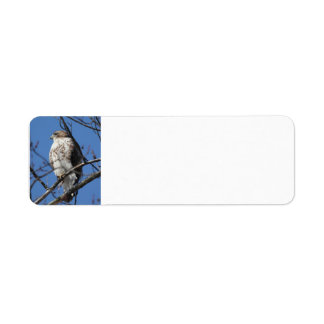 Etiqueta Red Tail Hawk