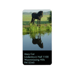 Etiqueta Reflexión frisia del caballo en agua