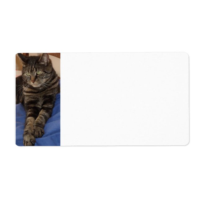 Etiqueta Regal Dave Sipping Labs (Frente)