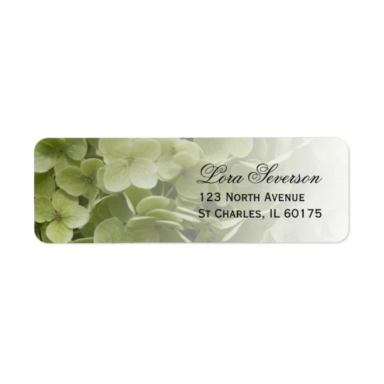 Etiqueta Remite floral del Hydrangea verde de Annabelle