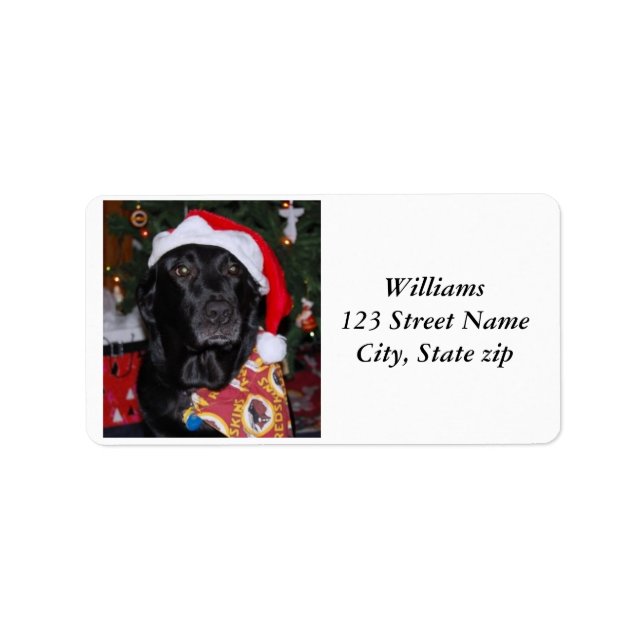 Etiqueta Responsable de dirección (Frente)