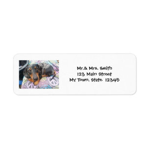 Etiqueta Retorno de la manzana de perro Dachshund de varios