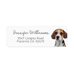 Etiqueta Retrato de Beagle Cute Dirección de Retorno Simple