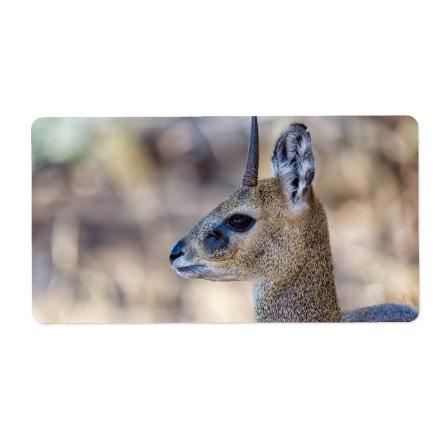 Etiqueta Retrato de Klipspringer (Frente)