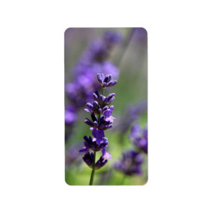 Etiqueta Retrato de Lavender