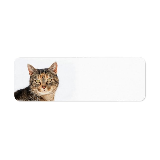 Etiqueta Retrato de un gato (Frente)