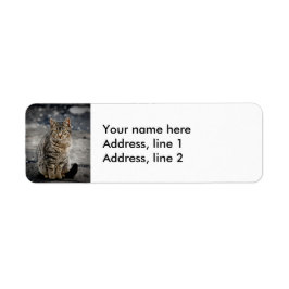 Etiqueta Retrato de un gato