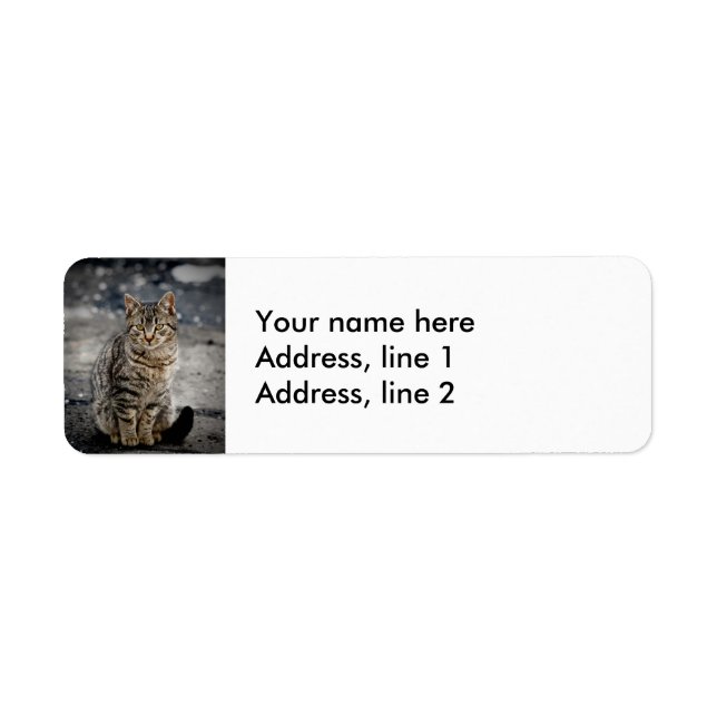 Etiqueta Retrato de un gato (Frente)