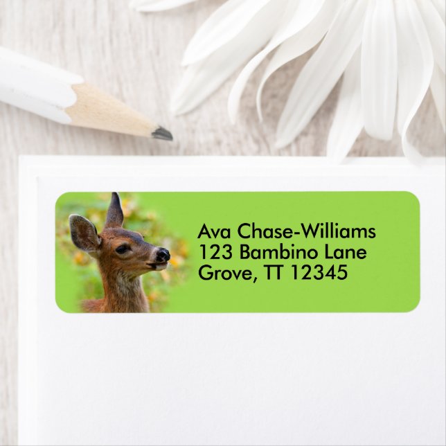 Etiqueta Retrato visto de la sonriente cola negra del alba (In situ)