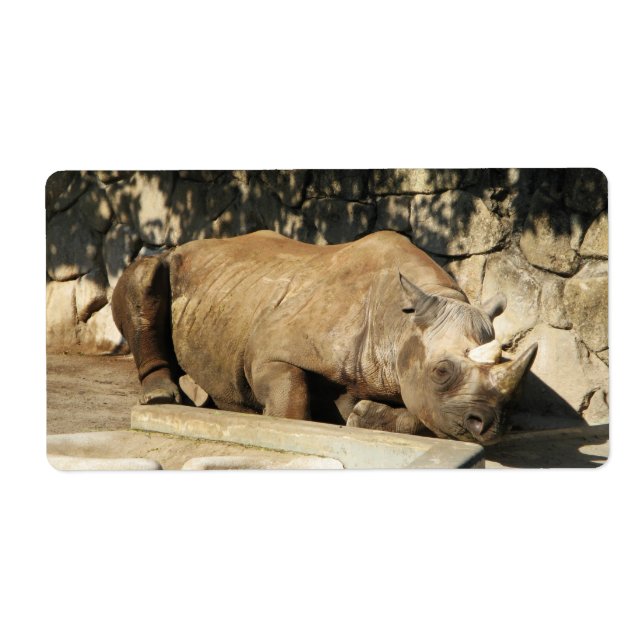 Etiqueta Rhino durmiente (Frente)