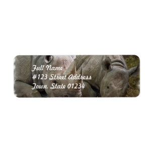 Etiqueta Rinocerontes durmientes